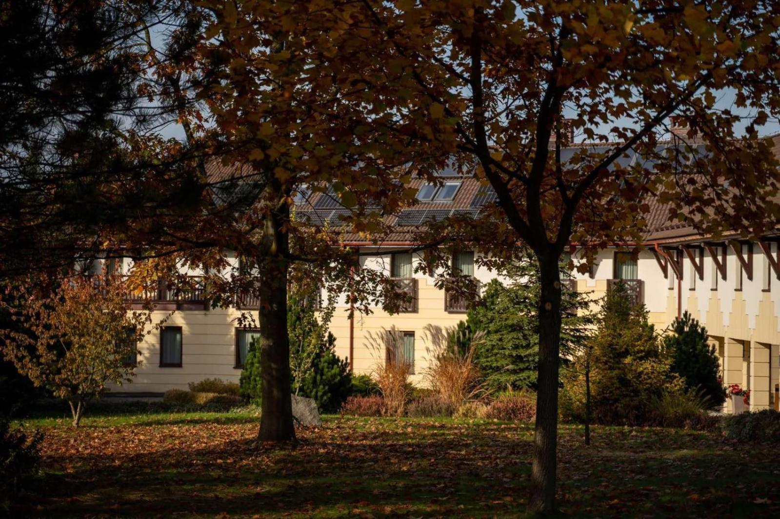Hotel & Restauracja Timberland Orzesze Экстерьер фото