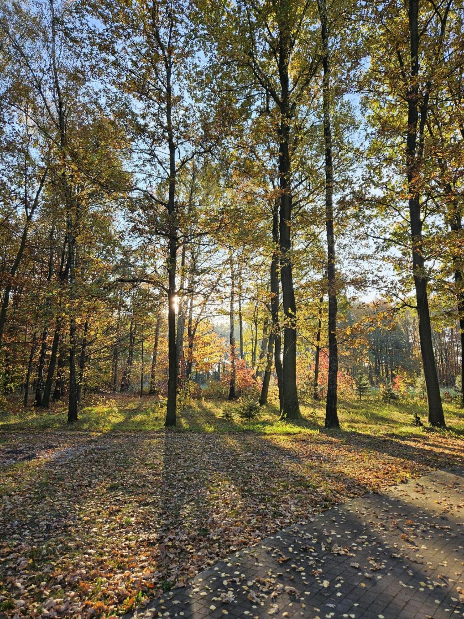Hotel & Restauracja Timberland Orzesze Экстерьер фото